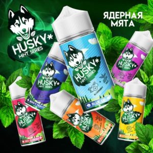 Жидкость HUSKY Mint Red Garden(Клубничная маргарита