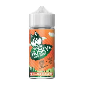 zhidkost-husky-mint-series-30-ml-20-mg-water-place-arbuz-myata