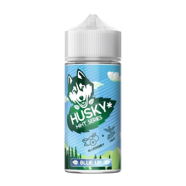 zhidkost-husky-mint-series-30ml-20mg-blue-up-chernika-myata