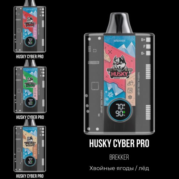 Husky Cyber pro 12000